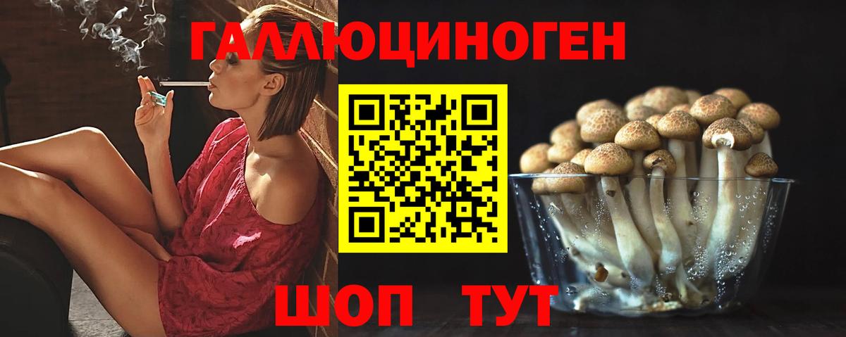 Псилоцибиновые грибы Psilocybe Екатеринбург