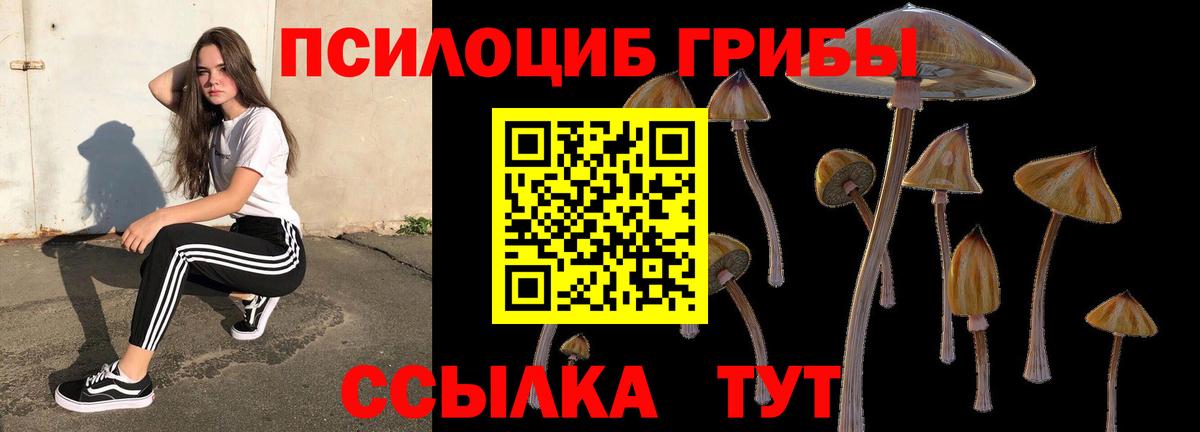 Галлюциногенные грибы Magic Shrooms  Псилоцибиновые грибы Psilocybe  Вход с VPN  Екатеринбург 